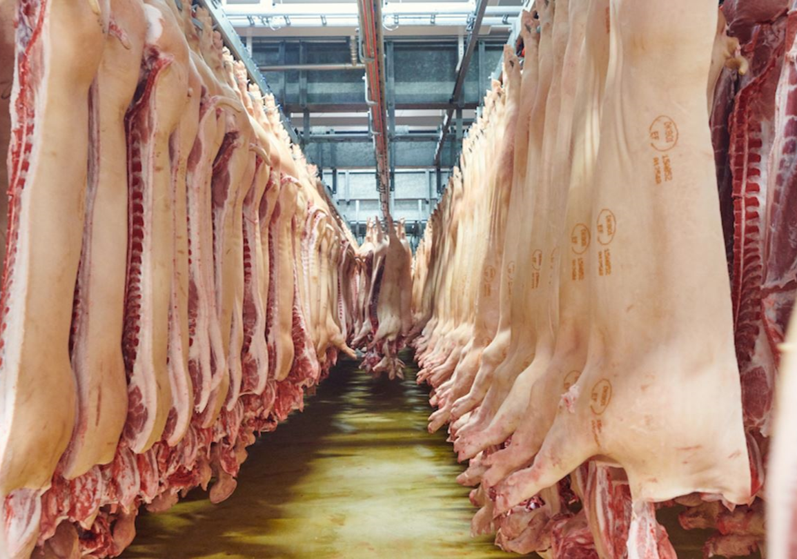 Rengøring & desinfektion i et slagteri