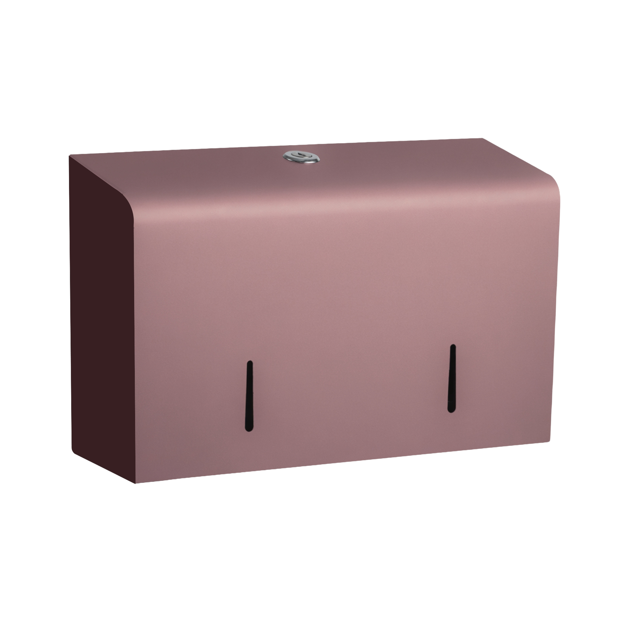 Toiletrulledispenser mini jumbo i stål til 2 mini jumbo ruller